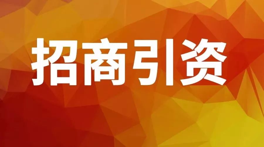 2024新澳免费资料大乐季-富强解释解析落实豪华版240.335