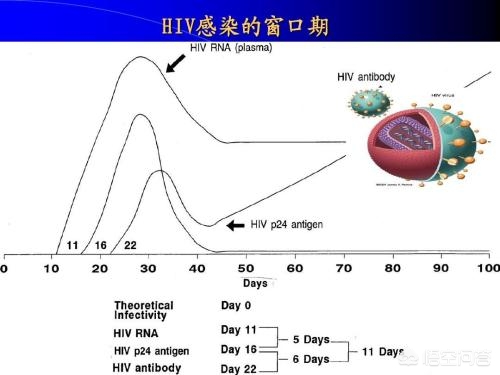 2018艾滋最新窗口期