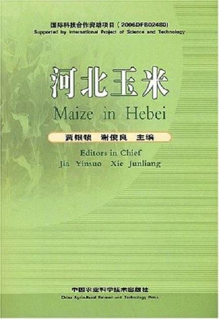 河北最新玉米价格今日动态分析