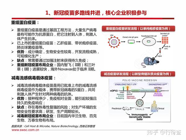 新冠病疫苗最新进展与前景展望