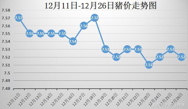 生猪最新价格行情分析