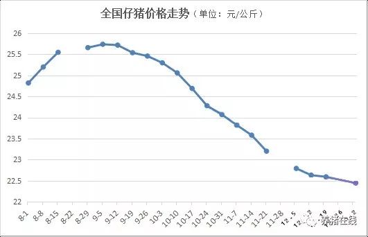 今日全国猪价格表最新，市场走势与影响因素分析