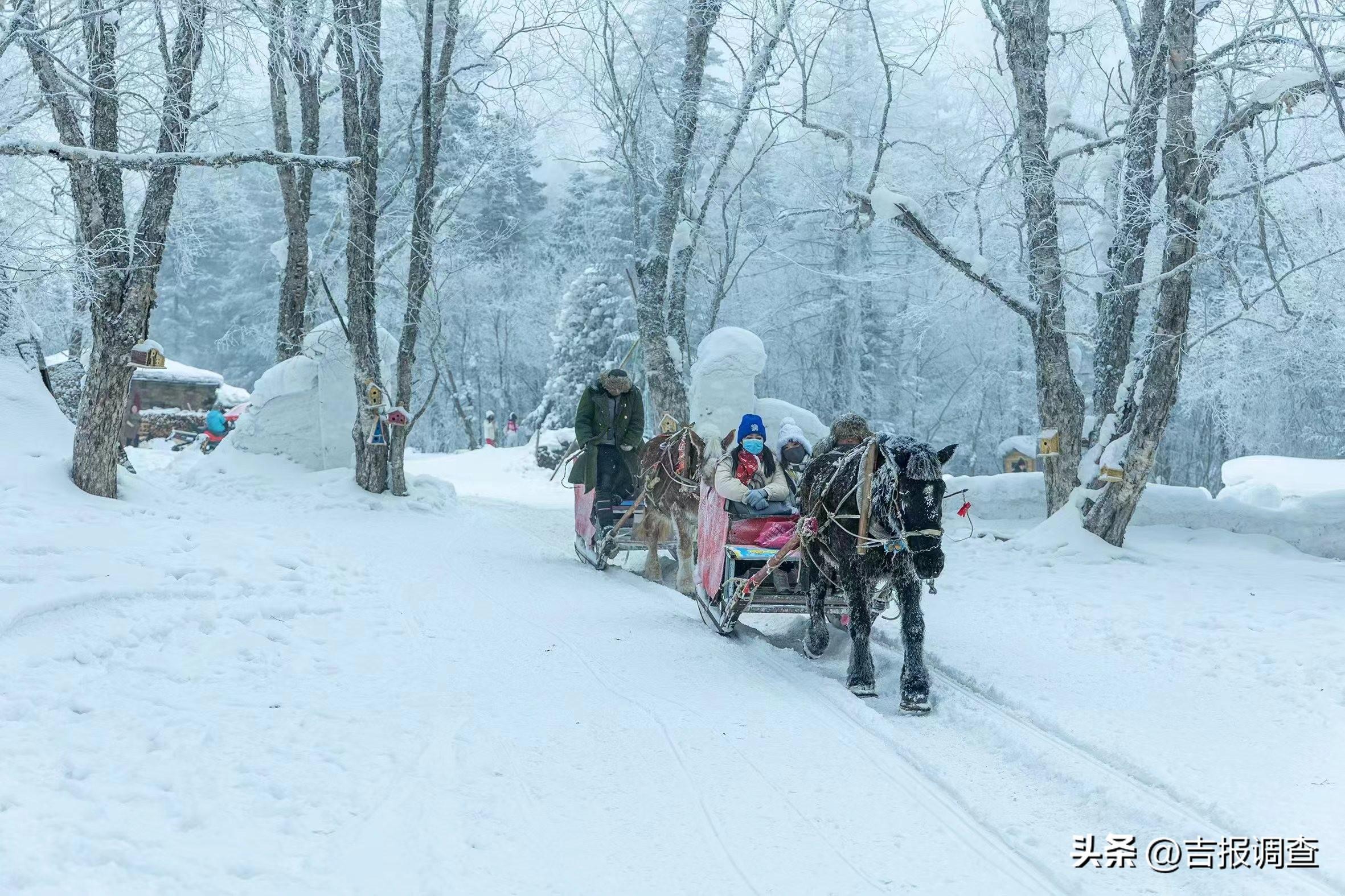 长白山雪岭最新探秘，壮美与神秘的交织之旅